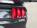 2023 Mustang Thumbnail 18