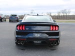 2021 Mustang Thumbnail 9