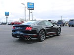 2021 Mustang Thumbnail 10