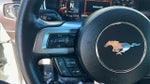 2021 Mustang Thumbnail 17