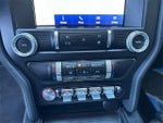 2022 Mustang Thumbnail 19