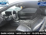 2024 Mustang Thumbnail 11
