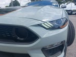 2022 Mustang Thumbnail 29