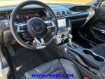 2021 Mustang Thumbnail 2