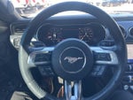 2023 Mustang Thumbnail 14