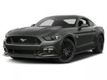 2015 Mustang Thumbnail 1