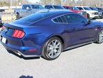 2015 Mustang Thumbnail 6