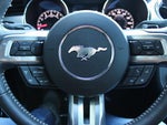 2015 Mustang Thumbnail 18