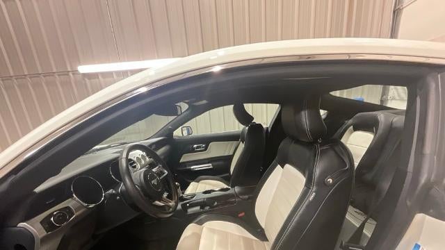 2015 Ford Mustang GT 50 Years Limited Edition