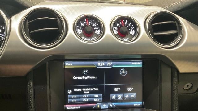 2015 Ford Mustang GT 50 Years Limited Edition