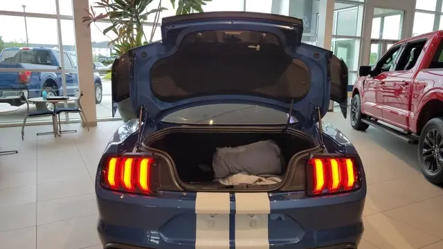 2021 Ford Mustang Shelby GT500