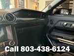 2021 Mustang Thumbnail 22