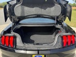 2021 Mustang Thumbnail 28