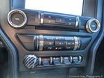 2020 Mustang Thumbnail 16