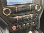 2020 Mustang Thumbnail 20
