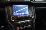 2021 Mustang Thumbnail 19