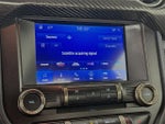 2020 Mustang Thumbnail 14