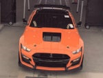 2020 Mustang Thumbnail 2