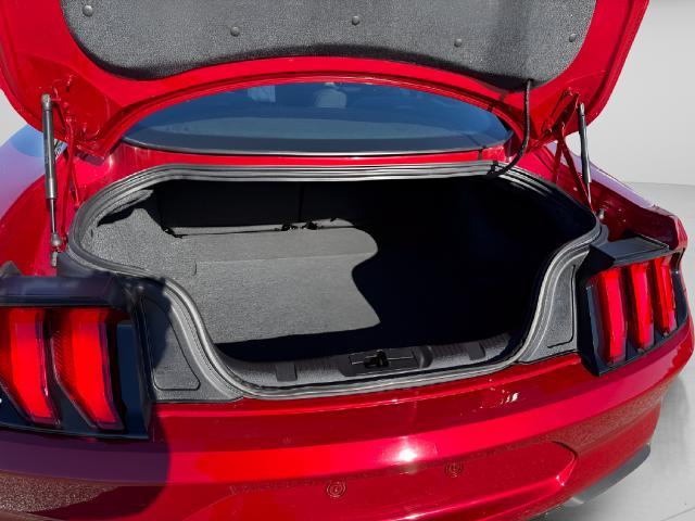 2021 Ford Mustang - $24,995