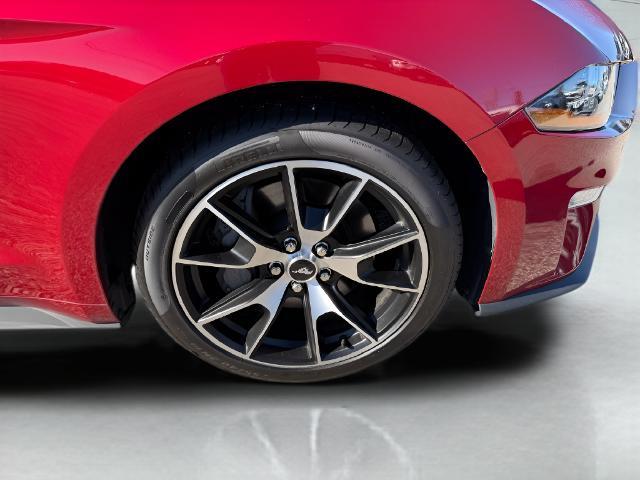 2021 Ford Mustang - $24,995