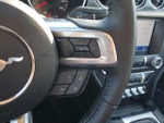 2020 Mustang Thumbnail 18