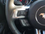 2020 Mustang Thumbnail 19