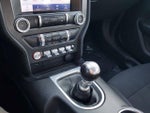 2020 Mustang Thumbnail 21