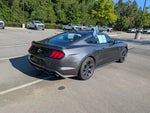 2020 Mustang Thumbnail 3