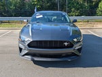 2020 Mustang Thumbnail 8