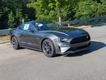 2020 Mustang Thumbnail 35