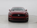 2015 Mustang Thumbnail 5