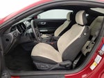 2015 Mustang Thumbnail 11