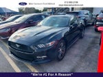 2017 Mustang Thumbnail 1
