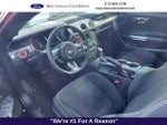 2017 Mustang Thumbnail 6