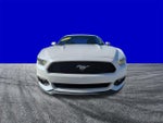 2017 Mustang Thumbnail 9