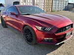 2017 Mustang Thumbnail 2