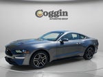 2018 Mustang Thumbnail 4
