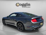 2018 Mustang Thumbnail 6