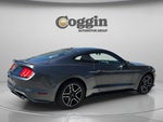 2018 Mustang Thumbnail 8