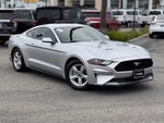 2019 Mustang Thumbnail 2