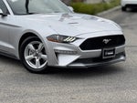 2019 Mustang Thumbnail 3