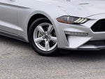 2019 Mustang Thumbnail 4