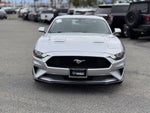 2019 Mustang Thumbnail 6