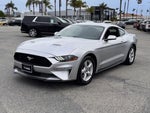 2019 Mustang Thumbnail 7