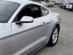 2019 Mustang Thumbnail 9