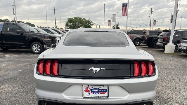 2019 Ford Mustang EcoBoost