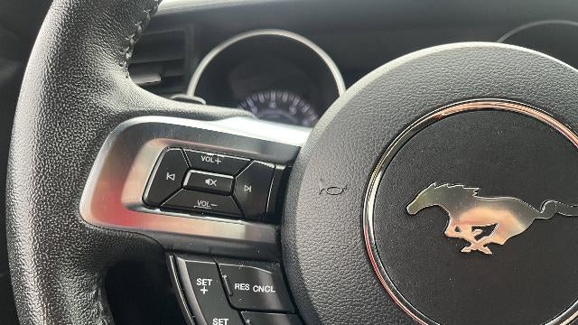 2019 Ford Mustang EcoBoost