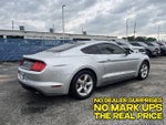 2019 Mustang Thumbnail 2