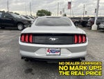 2019 Mustang Thumbnail 3