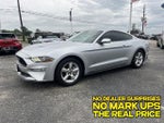2019 Mustang Thumbnail 6